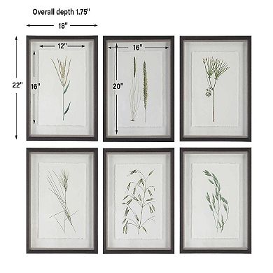 Uttermost Forest Finds Framed Prints 6-Piece Set