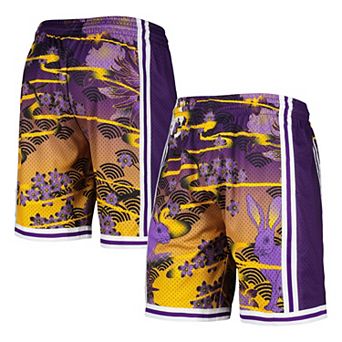 Men's Mitchell & Ness Purple Los Angeles Lakers Lunar New Year Swingman Shorts