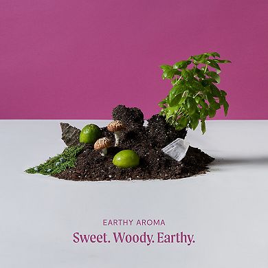 Hohm Reflect Essential Oil Blend - Natural, Pure Essential Oil for Your Home Diffuser - With Bergamot, Vetiver, Lime, and Ylang Ylang - 15 mL