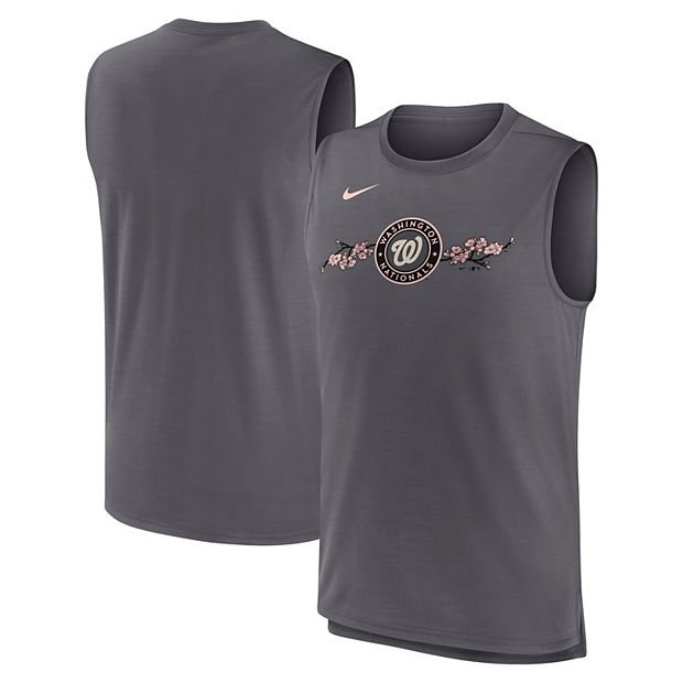 Men's Nike Gray Washington Nationals City Connect Muscle Tank Top