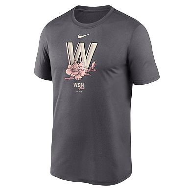 Men's Nike Gray Washington Nationals City Connect Logo T-Shirt