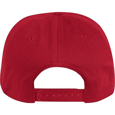 Men's adidas Red Louisville Cardinals Established Snapback Hat