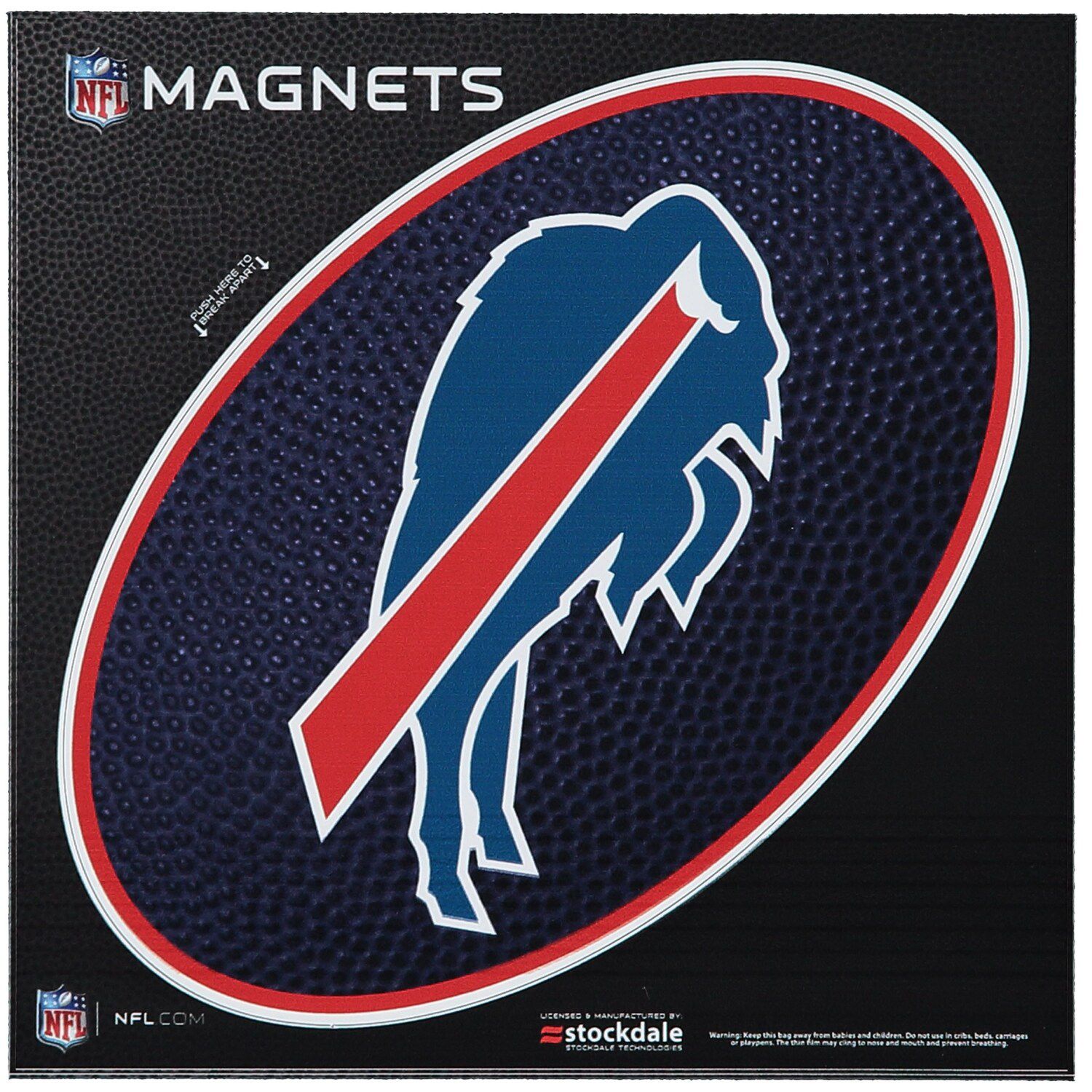 Las Vegas Raiders Teamball 6 x Oval Full Color Magnet