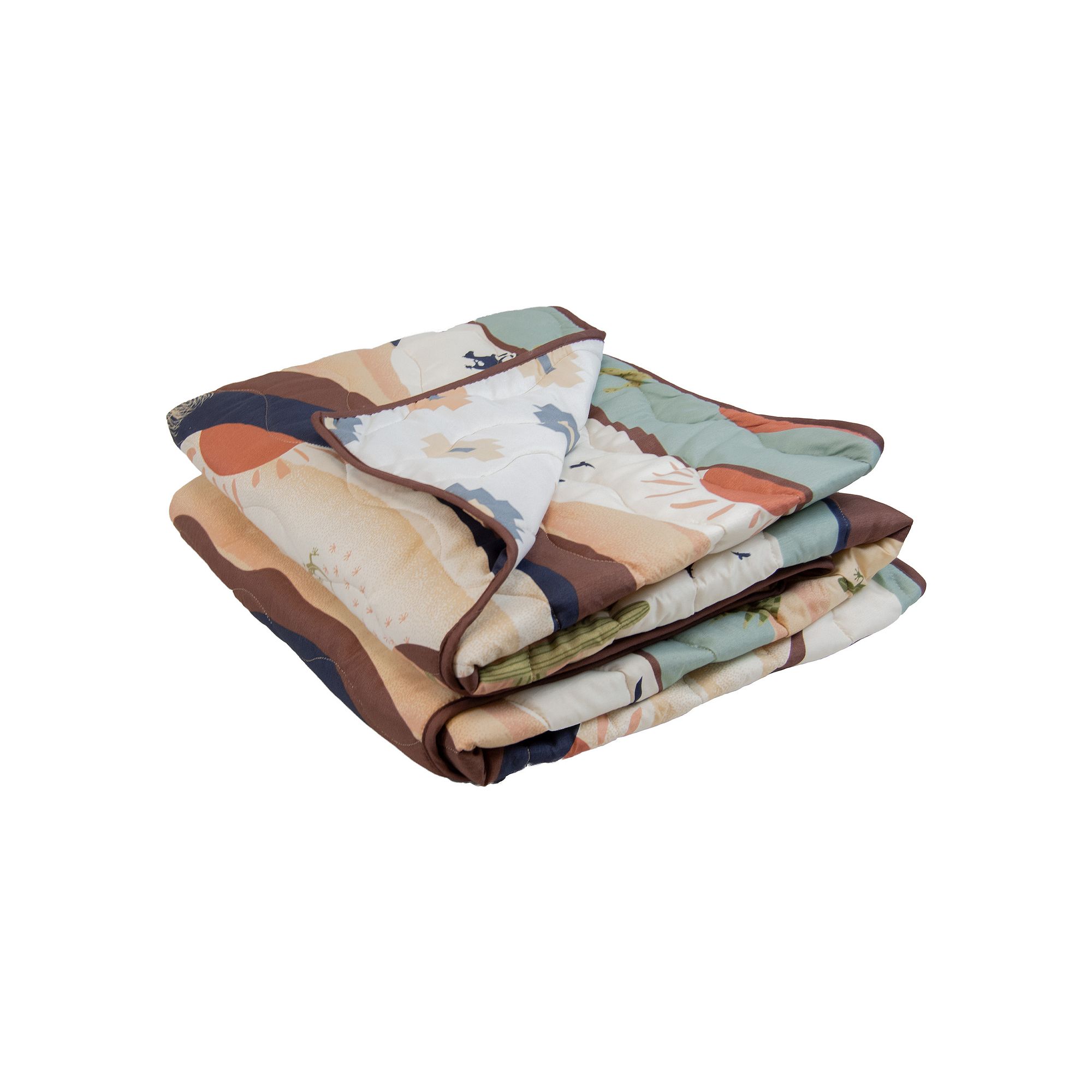 Donna Sharp Journey Throw Blanket