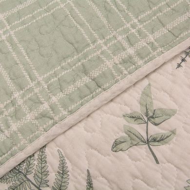 Donna Sharp Botanical Quilt Set with Shams