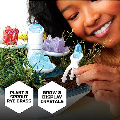 Discovery Mindblown Discovery™ #Mindblown DIY Light-Up Terrarium Plants ...