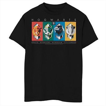 Boys Harry Potter Hogwarts House Symbols Graphic Tee