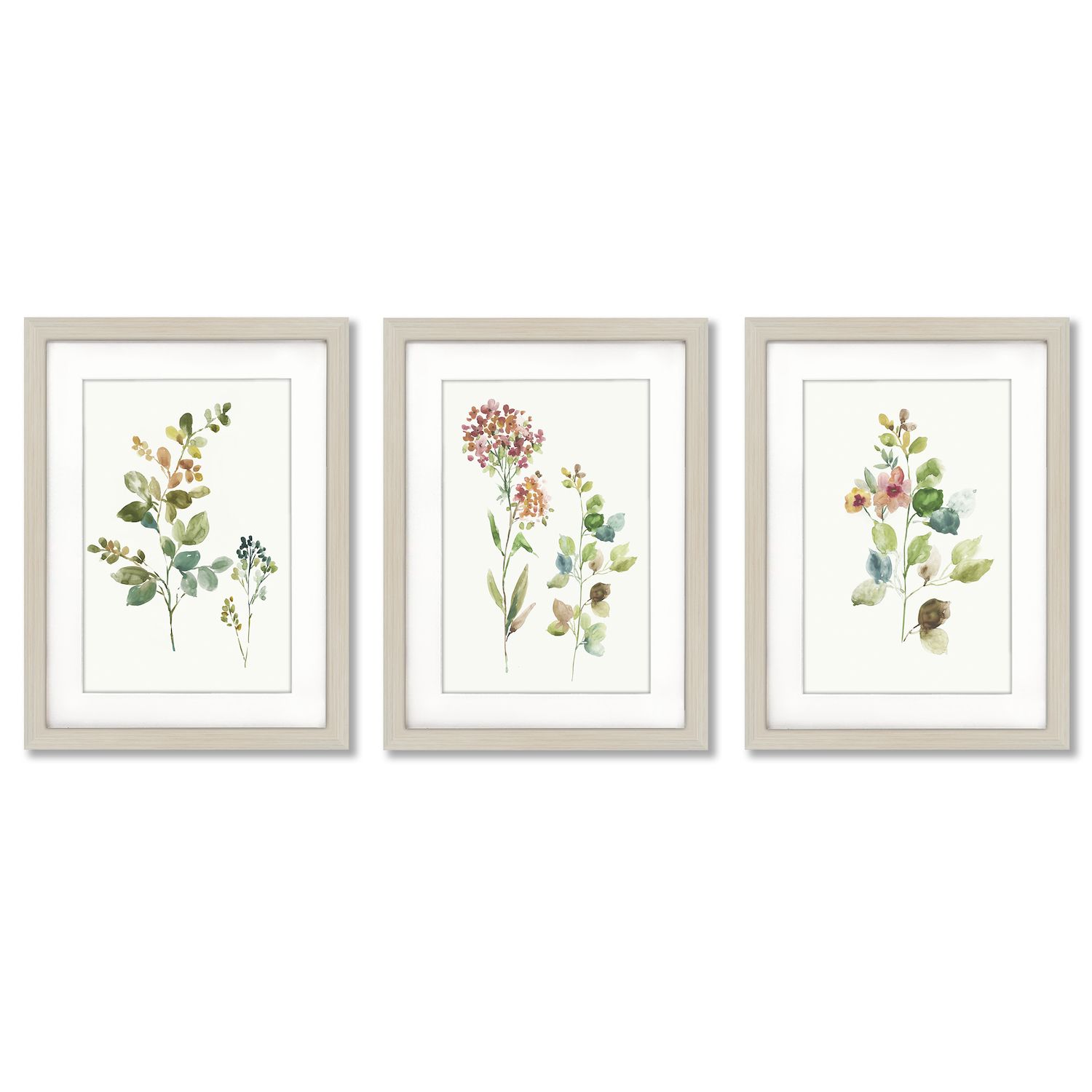 Americanflat Botanical 22x28 Framed Print - Tiny House Plants