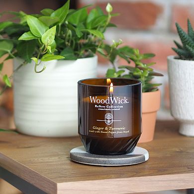 WoodWick® ReNew Ginger & Turmeric Medium Jar Candle