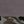 Poppy Seed Camo