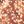 Leopard Multi