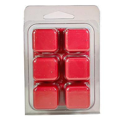 Sonoma Goods for Life® 2.5-oz. Winterberry & Spruce Wax Melts