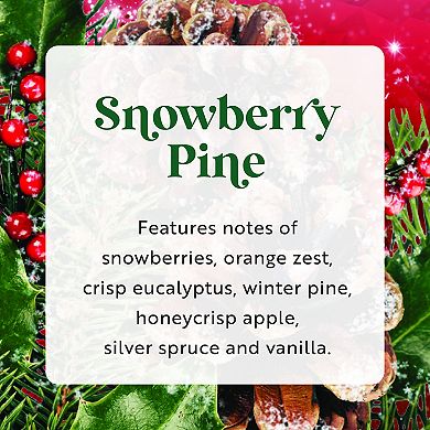 Scentsicles Scented Ornaments