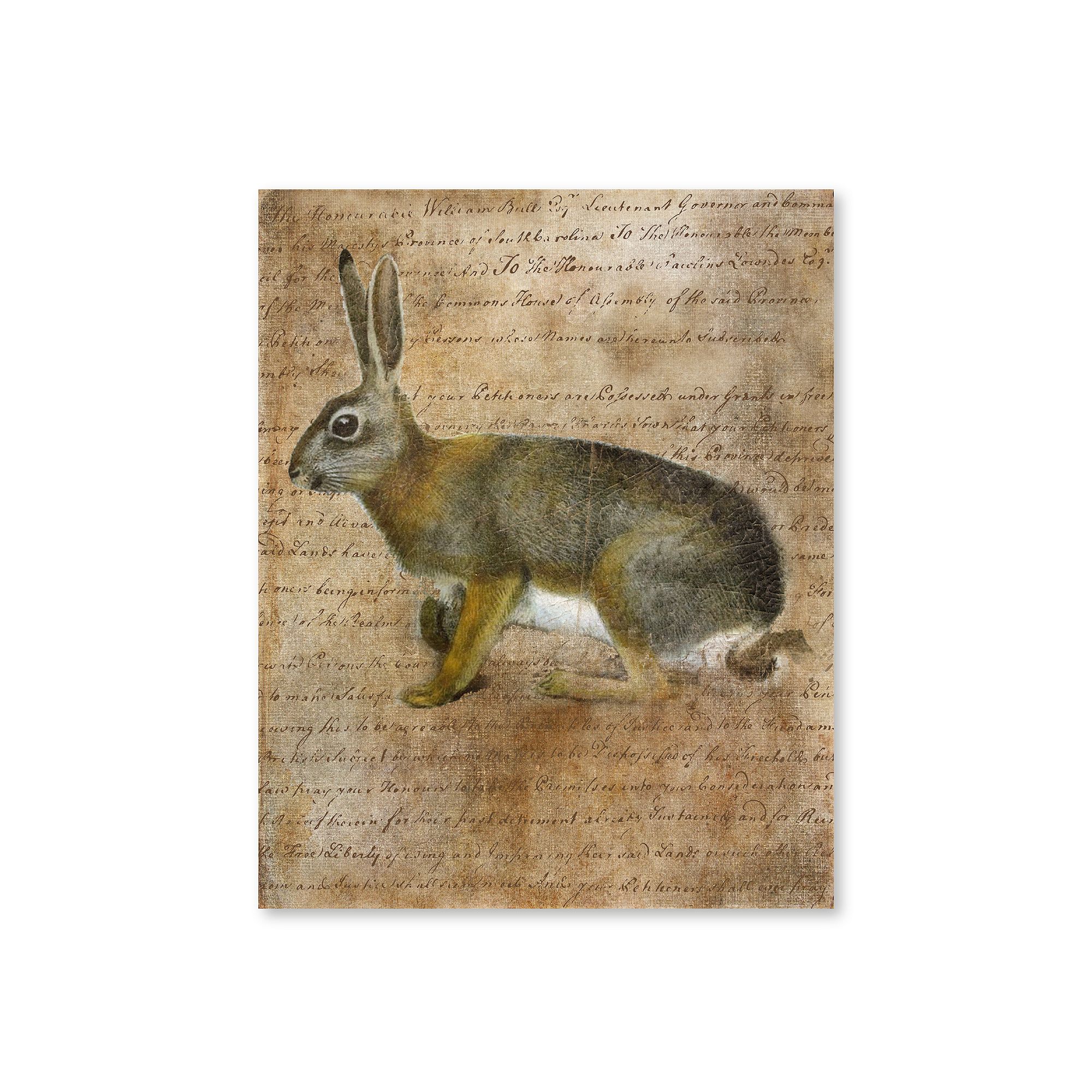 COURTSIDE MARKET Vintage Rabbit II Canvas Wall Art, Multi