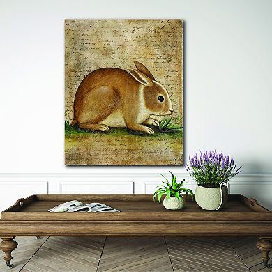 COURTSIDE MARKET Vintage Rabbit III Canvas Wall Art