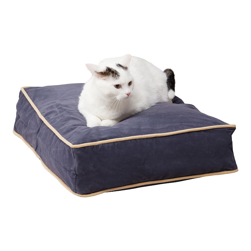 Kohls 2024 cat pillow