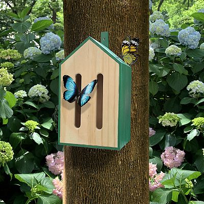 Evergreen Enterprises 12-Inch Butterf...