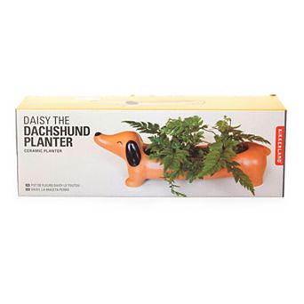 Kikkerland Dachsund Planter