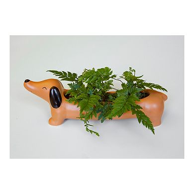 Kikkerland Dachsund Planter