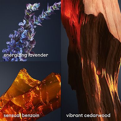 1 Million Royal Parfum with Woody Lavender