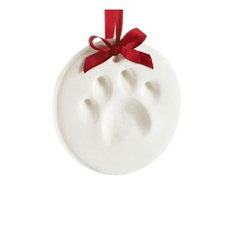 Nifty Paw Print Ornament Kit