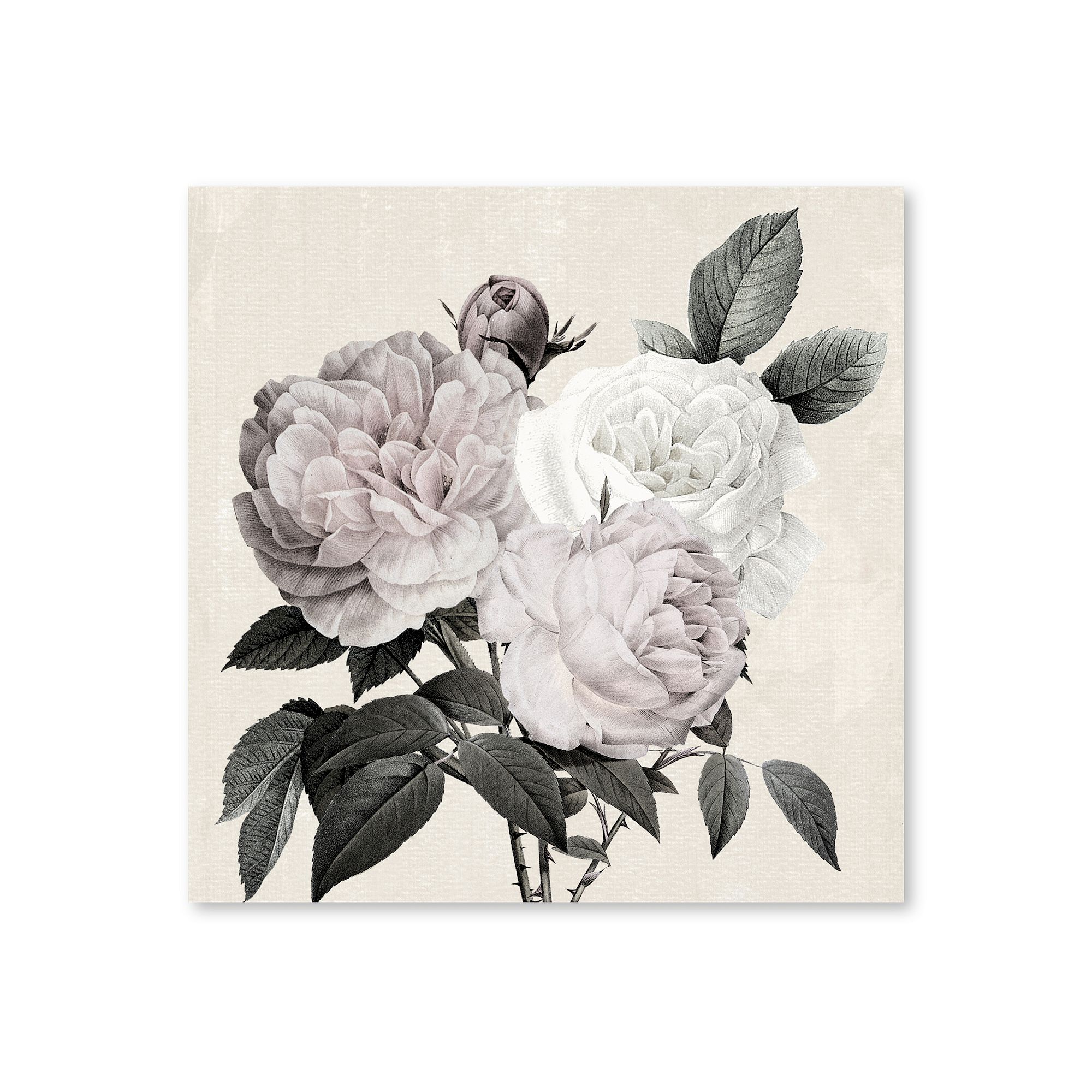 COURTSIDE MARKET Botanical Arrangement II Canvas Wall Art, Multi