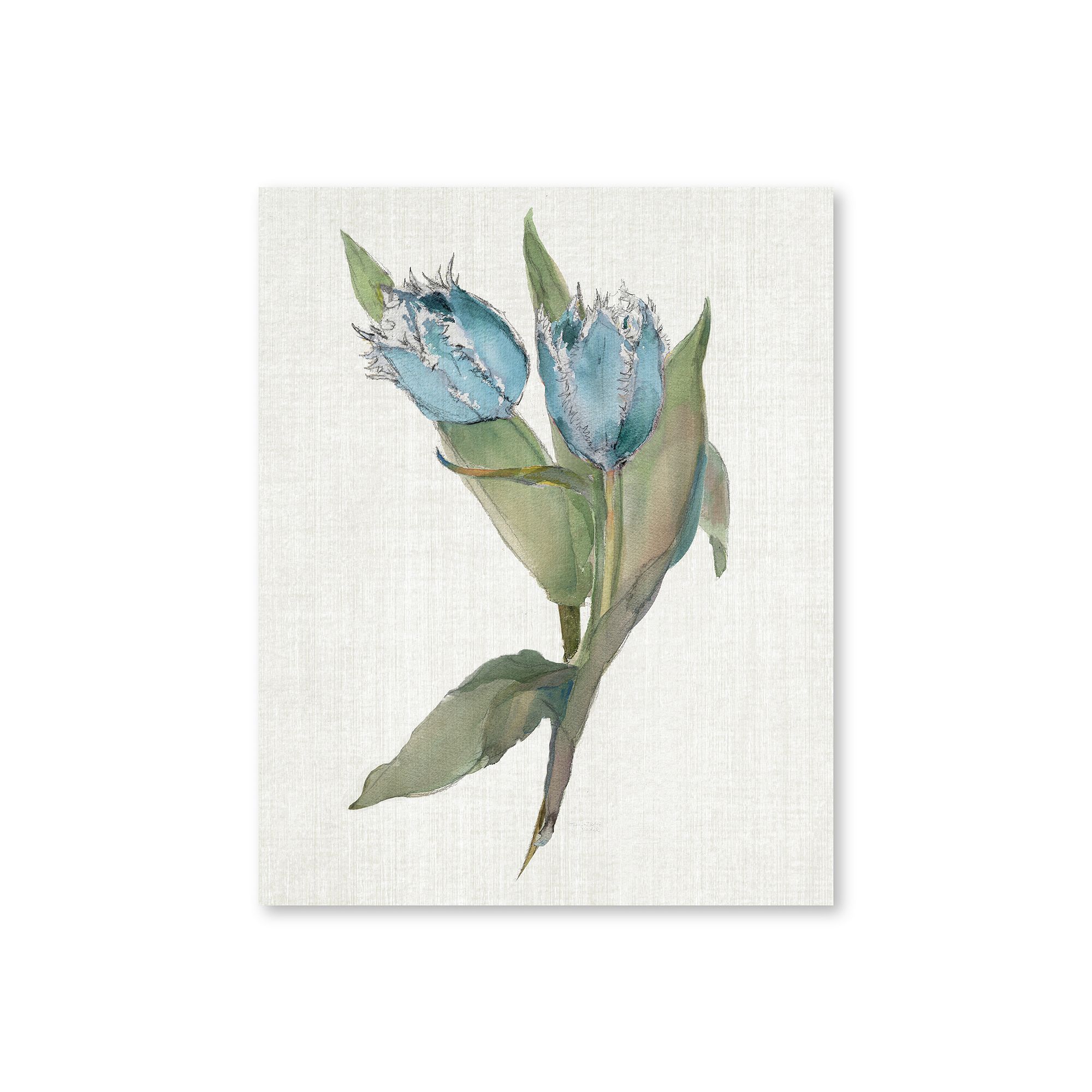 COURTSIDE MARKET Blue Tulip Picks II Canvas Wall Art, Multi