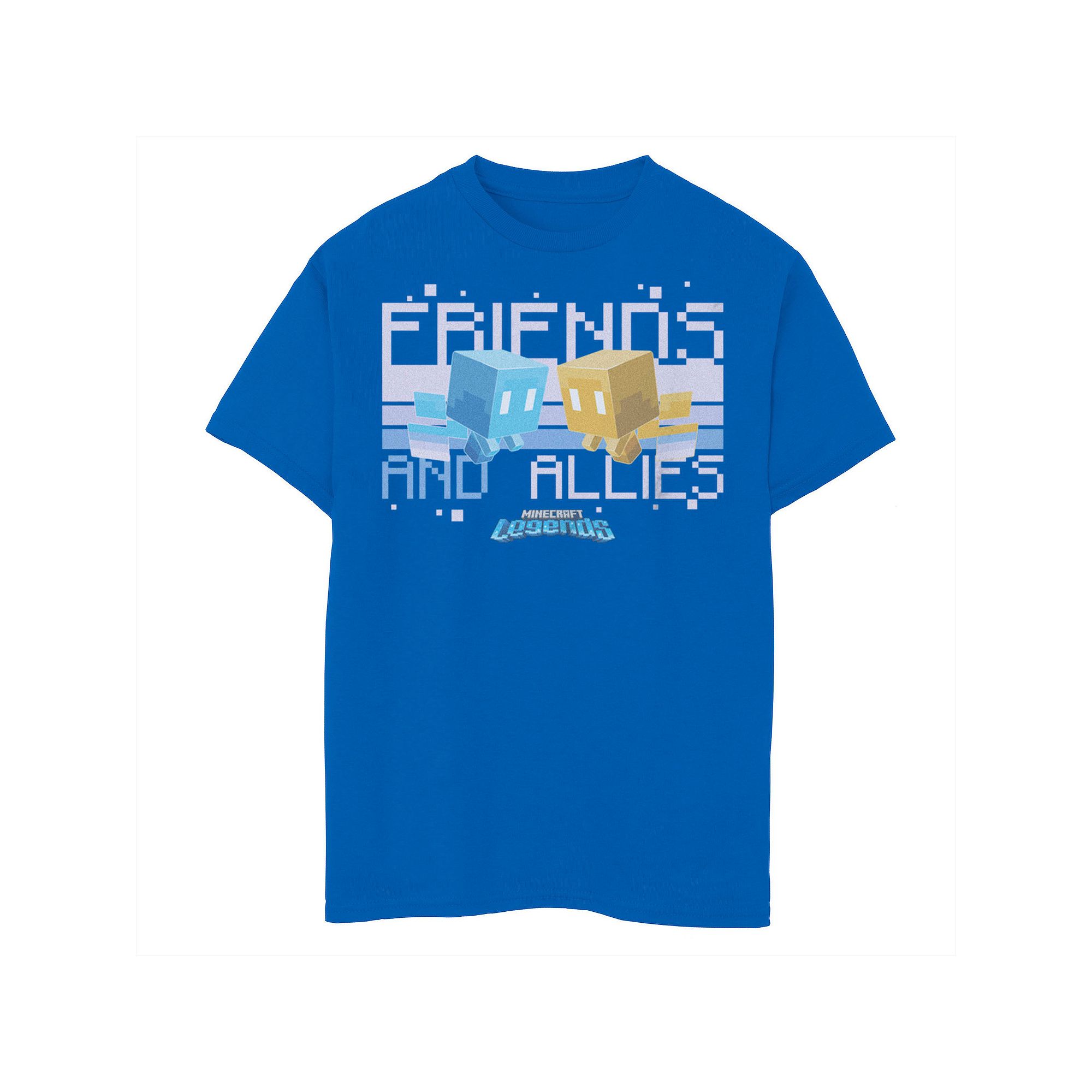 Boys 8-20 Minecraft Legends Fairies Friends & Allies Graphic Tee, Boys, Si
