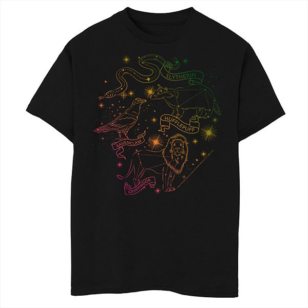 Boys Husky Harry Potter Hogwarts Rainbow Line Art Graphic Tee