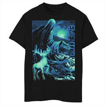 Boys Husky Harry Potter Dementor & Patronus Graphic Tee