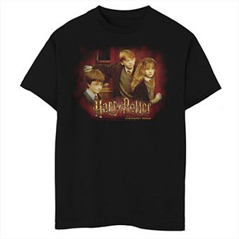 Boys Husky Harry Potter And The Sorcerer's Stone Group Shot Distressed Graphic Tee