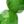 Chrome Diopside