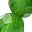 Chrome Diopside