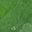 Chrome Diopside