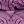 Paisley Purple