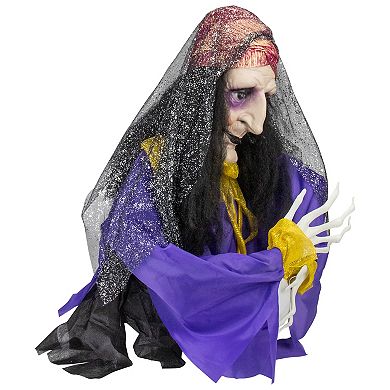 20" Animated Fortune Teller Halloween Decoration