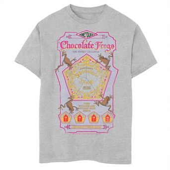 Boys 8-20 Harry Potter Chocolate Frogs Box Husky Tee