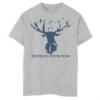 Boys 8-20 Harry Potter Expecto Patronum Husky Tee