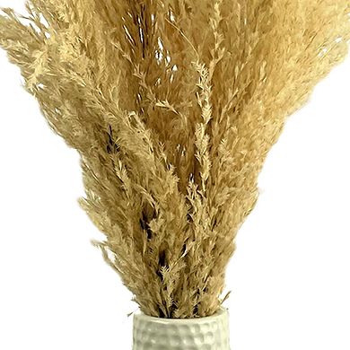 Sonoma Goods For Life® Pompas Grass in White Ceramic Vase Table Decor