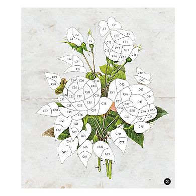 Brain Games Sticker By Number: Vintage Flowers