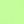 Neon Green