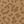 Brown Leopard