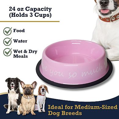 I LOVE YOU SO MUCH Modern Dog Feeder with Stainless Steel Bowls Pink/24oz