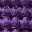 Dark Purple Reign