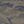 Vintage Camo