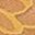 Ginger Yellow