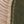 Dark Green And Khaki