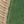 Kelly Green And Khaki