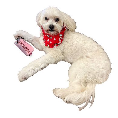 Woof Snoopy & Woodstock Valentine's Day Bandana and Toy Set