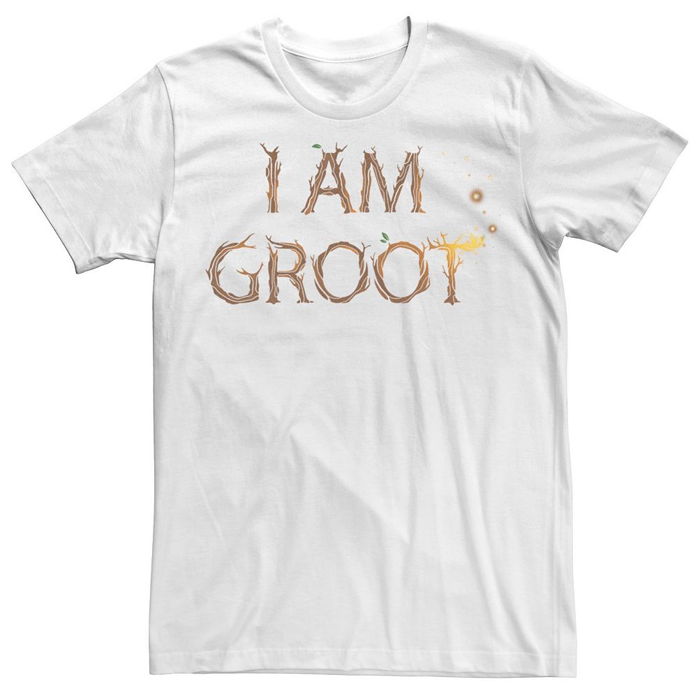 Men's Marvel Guardians Of The Galaxy I Am Groot Roots Graphic Tee